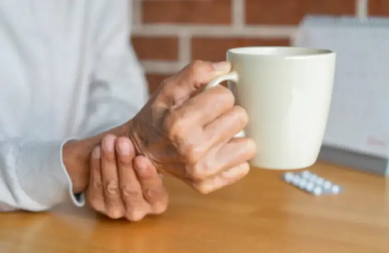 اليابان توافق على مشاريع رائدة للخلايا الجذعية لعلاج القلب وباركنسون